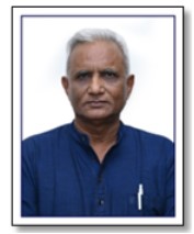vice president